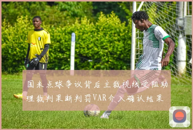 国米点球争议背后主裁视线受阻助理裁判果断判罚VAR介入确认结果