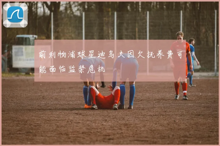 前利物浦球星迪乌夫因欠抚养费可能面临监禁危机